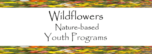 Wildflowers Nature School, Sebastopol, CA - Letting the innate wonder of nature be the context for learning